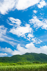 Landscape of Ishigaki Island