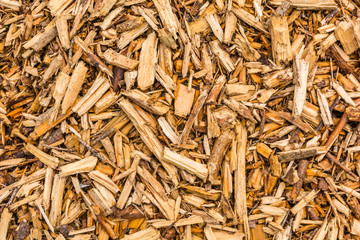 Texture (pattern) of small pieces of wood.