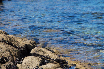 seascape with rocks and blue sea