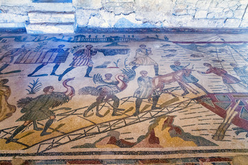 Fototapety na wymiar - Fototapeta24.pl