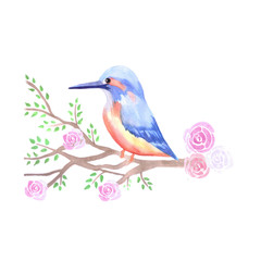 Kingfisher and pink roses on a tree branch