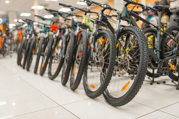 Rows of mountain bicycles in sports shop, nobody