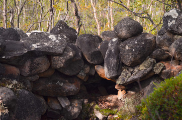 Old trench by a trekking route in a Nordic pine forest.