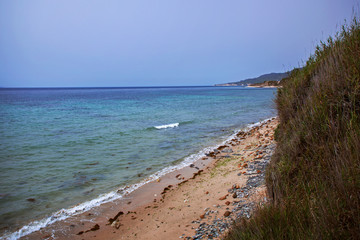 wild beach, blue water and sand with shells, grass on the beach