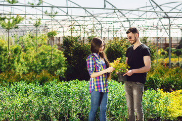 A young couple, a boy in a black T-shirt and a girl in glasses, keep a pot with a green plant. Shopping in a greenhouse