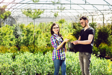 A young couple, a boy in a black T-shirt and a girl in glasses, keep a pot with a green plant. Shopping in a greenhouse