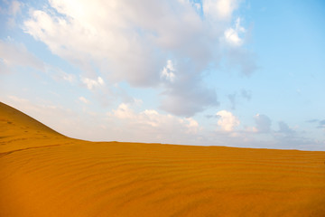 Thar Desert and Rajasthan