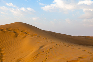 Fototapeta na wymiar Thar Desert and Blue Sky