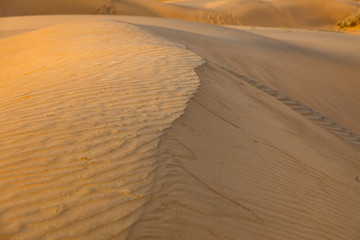 Sand dunes at sunset India