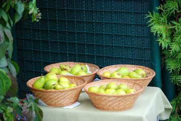 Frisch geerntete Birnen stehen am Tisch