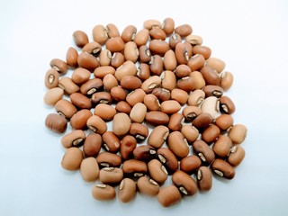 A picture of Bean isolated on white background