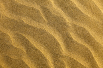 Sand desert texture