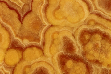 A few of the hundreds of varieties of marble in Turkey