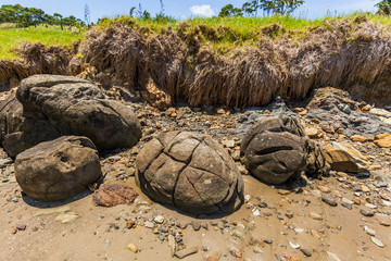 Rocks on Koutu boulders, New Zealand
