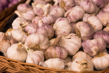 heads of fragrant garlic in baskets on market counter
