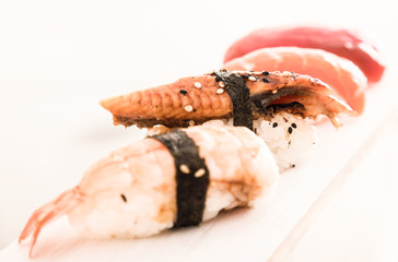 series of four kinds Nigirisushi