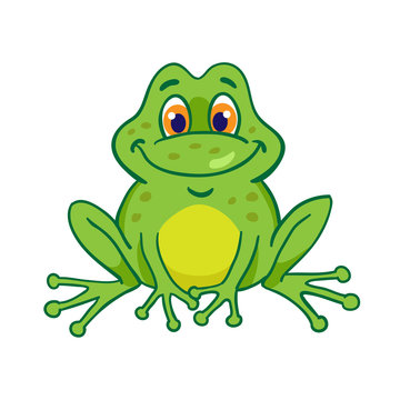 Little funny frog is sitting. Isolated on white background. In cartoon style.