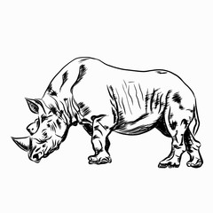 Hand drawn vector illustration of a rhinoceros on white background