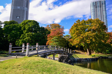 東京のオアシス浜離宮　Oasis Hamarikyu in Tokyo
