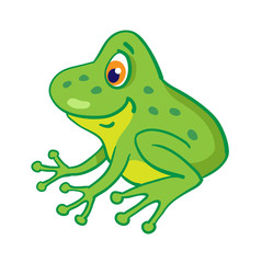 Little funny cartoon frog is sitting. Isolated on a white background