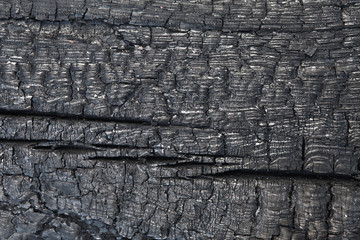 Scorched wood texture. Burned wood structure background. Burnt timber surface backdrop. Wooden...
