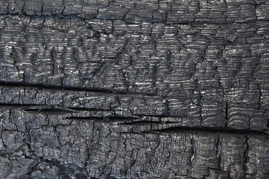 Scorched wood texture. Burned wood structure background. Burnt timber surface backdrop. Wooden burn-off closeup shot. Old burnt wooden beam. Firebrand surface image. Charred coarse-textured timber.