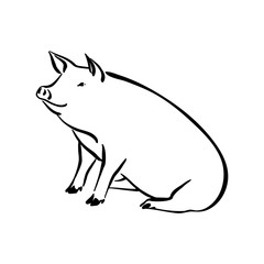 Hand drawn cute pig sketch illustration. Vector black ink drawing farm animal, outline sitting pet silhouette isolated on white background