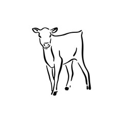 Hand drawn cute cow calf sketch illustration. Vector black ink drawing farm animal, outline silhouette isolated on white background © Ekaterina