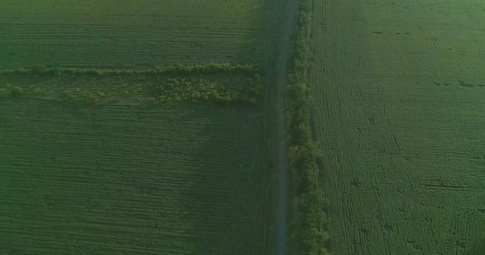 Great view of wheat, panic grass, maize, barley, oats, rhy fields
