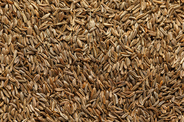 Caraway, meridian fennel or Persian cumin seeds as background