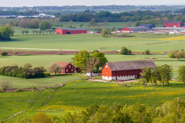 Farm on the fields in a rural view