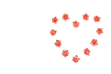 Fototapeta na wymiar Blooming pink flowers, decorative plant, romantic mood.