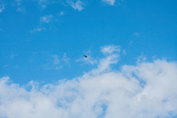 big white clouds in the blue sky