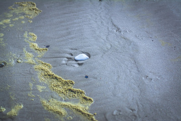 Yellow Foam on the sand