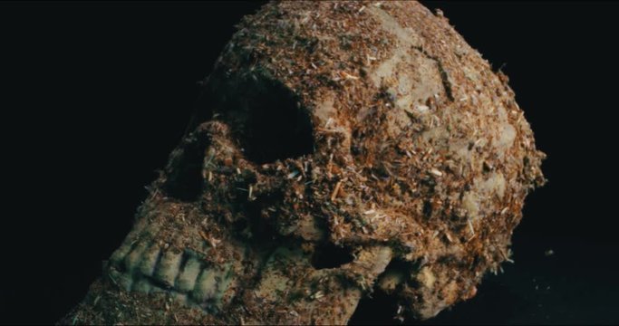 Model Skull on the Black Background, Archaeology Concept. 4K. Macro. Wide Engle.