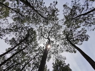 france summer beach surfer coast
