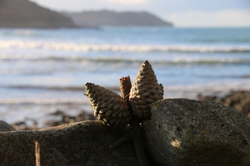 Sea on the noth coast of Brittany