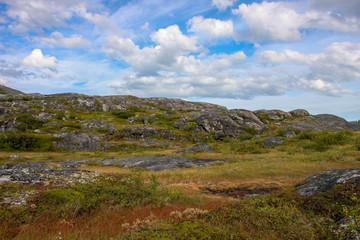 Tundra of the Kola Peninsula beyond the Arctic Circle in clear weather, green moss and lichens, rocks. Clouds in the blue sky. Russia.