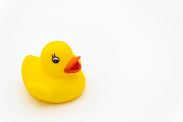 Yellow rubber duck isolated on white background.