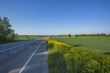 Beautiful view of landscape with green fields, highway road, green forest trees and blue sky.  Gorgeous backgrounds.