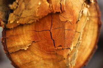 wooden scratches texture