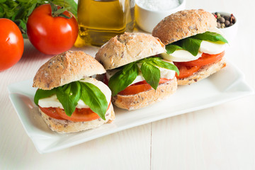 Close-up photo of sandwich, burger with caprese salad with ripe tomatoes, basil, buffalo mozzarella cheese. Italian and Mediterranean food concept. Fresh and healthy organic meal. 