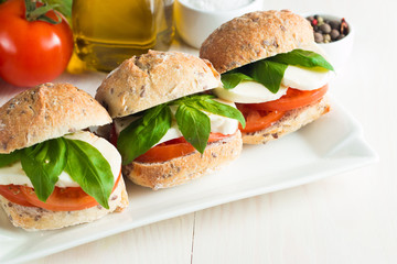 Close-up photo of sandwich, burger with caprese salad with ripe tomatoes, basil, buffalo mozzarella cheese. Italian and Mediterranean food concept. Fresh and healthy organic meal. 