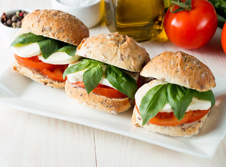 Close-up photo of sandwich, burger with caprese salad with ripe tomatoes, basil, buffalo mozzarella cheese. Italian and Mediterranean food concept. Fresh and healthy organic meal. 