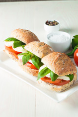 Close-up photo of sandwich, burger with caprese salad with ripe tomatoes, basil, buffalo mozzarella cheese. Italian and Mediterranean food concept. Fresh and healthy organic meal. 