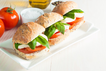 Close-up photo of sandwich, burger with caprese salad with ripe tomatoes, basil, buffalo mozzarella cheese. Italian and Mediterranean food concept. Fresh and healthy organic meal. 