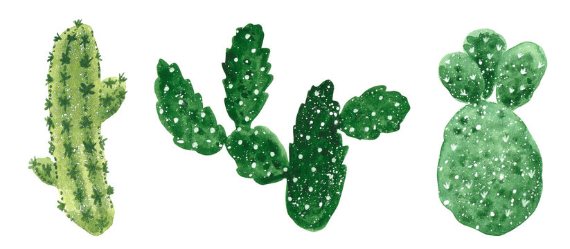 Clipart set with different types of green cactuses, hand drawn watercolor illustration isolated on white