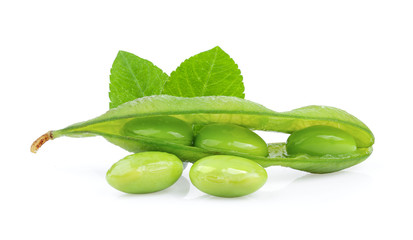 edamame beans isolated on white background. full depth of field