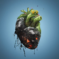 Human heart with death and life