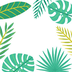 Tropical frame vector illustration. Green plants, exotic leaves, banana leaf, areca palm, botany, flora. place for your text. White background isolated. Wedding invitation or card design